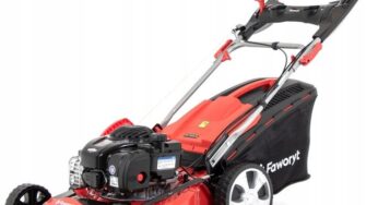 Review Faworyt Masina de tuns iarba benzina 3 kW, latime 46 cm, cos 60 l